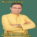 Aesthetic Melodies - Milind Chittal Song Download